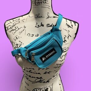 Cute Everest mini fanny waist chest pack zipper pouch mesh strap
